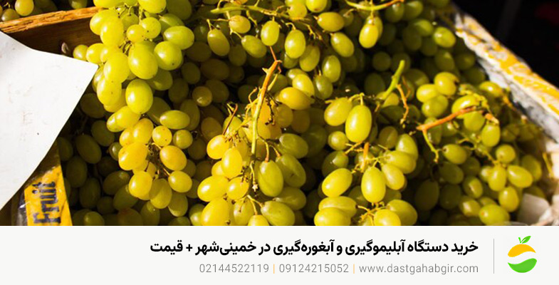 خرید دستگاه آبلیموگیری و آبغورهگیری در خمینیشهر + قیمت خرید دستگاه آبلیموگیری و آبغورهگیری در خمینیشهر + قیمت
