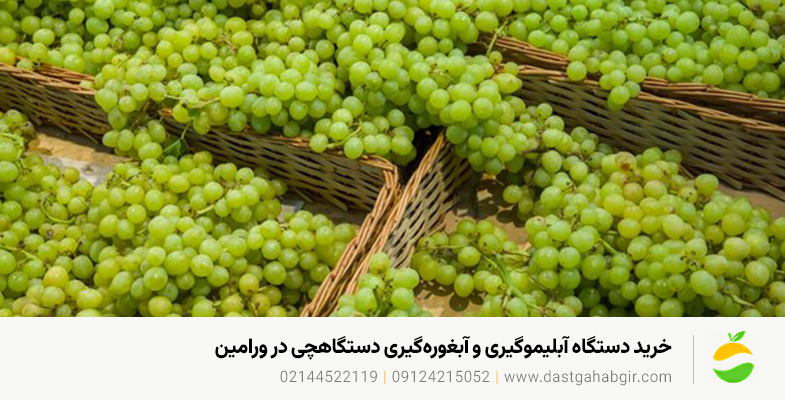 خرید دستگاه آبلیموگیری و آبغورهگیری در ورامین | دستگاهچی مزایای خرید دستگاه آبلیموگیری و آبغورهگیری دستگاهچی در ورامین