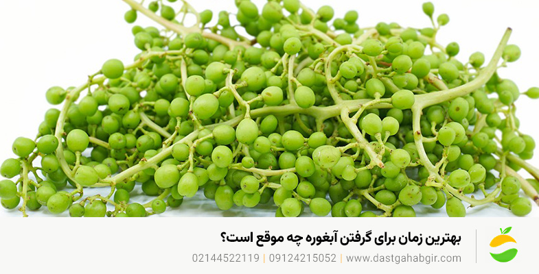 بهترین زمان برای گرفتن آبغوره چه موقع است؟