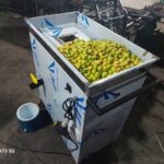 دستگاه آبلیمو گیری صنعتی و خانگی