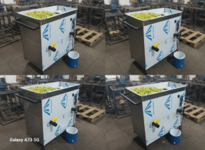 آبغوره‌گیری خانگی ۱۴۰۴: طرز تهیه مرحله‌به‌مرحله