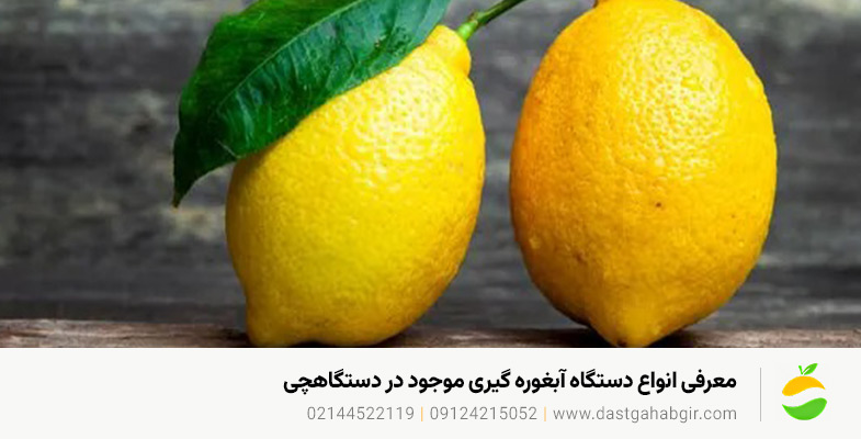 بهترین دستگاه آبغوره گیری در بازار ایران – معرفی و راهنمای مقایسه معرفی انواع دستگاه آبغوره گیری موجود در دستگاهچی