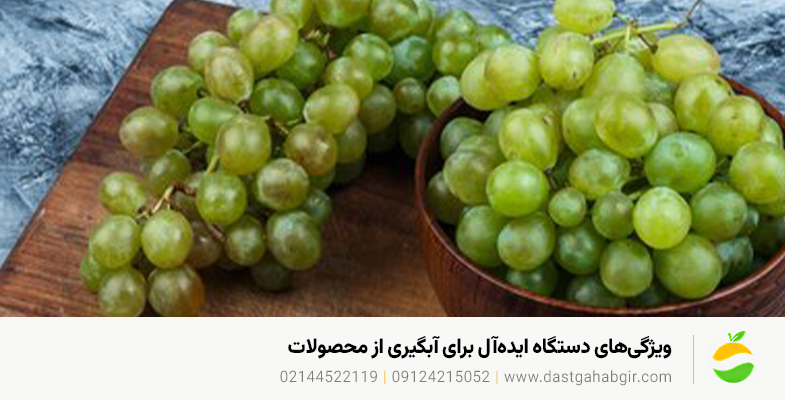 خرید و قیمت✔ دستگاه آبلیموگیری و آبغورهگیری در میانه ویژگیهای دستگاه ایدهآل برای آبگیری از محصولات باغات میانه