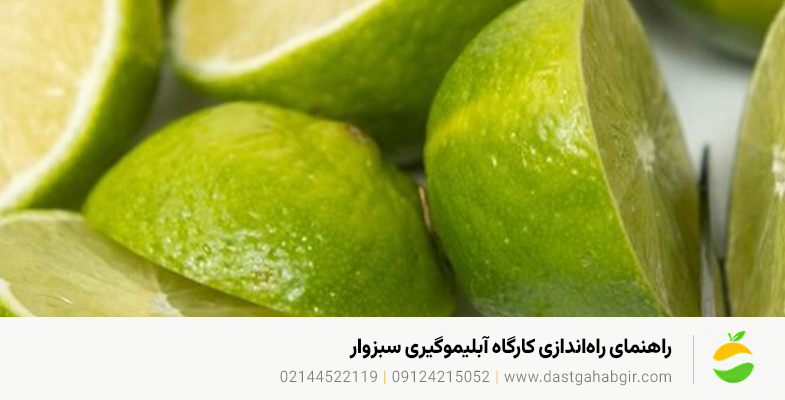 قیمت و خرید دستگاه آبلیموگیری و آبغوره گیری در سبزوار ۱۴۰۴ راهنمای راهاندازی کارگاه آبلیموگیری سبزوار + مجوز و سود ماهانه