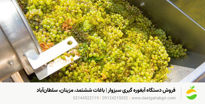 قیمت و خرید دستگاه آبلیموگیری و آبغوره گیری در سبزوار ۱۴۰۴ فروش دستگاه آبغوره گیری سبزوار | باغات ششتمد، مزینان، سلطانآباد