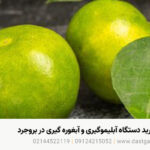قیمت و خرید دستگاه آبلیموگیری و آبغوره گیری در بروجرد قیمت و خرید دستگاه آبلیموگیری و آبغوره گیری در بروجرد