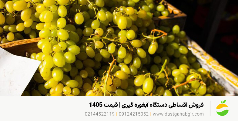 فروش اقساطی دستگاه آبغوره گیری | قیمت 1405 دستگاهچی فروش اقساطی دستگاه آبغوره گیری | قیمت 1405 دستگاهچی