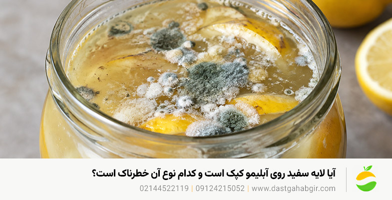 علت کپک زدن آبلیمو و آبغوره خانگی چیست؟ راهکارهای جلوگیری و نگهداری آیا لایه سفید روی آبلیمو کپک است و کدام نوع آن خطرناک است