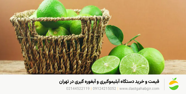 قیمت و خرید دستگاه آبلیموگیری و آبغوره گیری در تهران قیمت و خرید دستگاه آبلیموگیری و آبغوره گیری در تهران