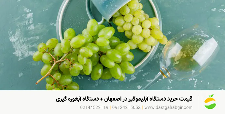 قیمت خرید دستگاه آبلیموگیر در اصفهان + دستگاه آبغوره گیری قیمت خرید دستگاه آبلیموگیر در اصفهان + دستگاه آبغوره گیری