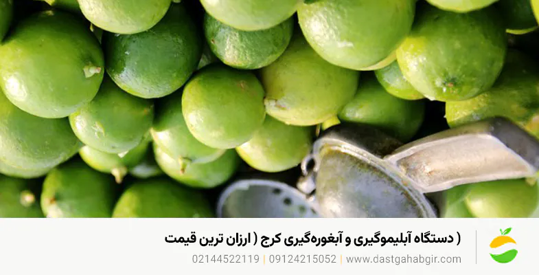 دستگاه آبلیموگیری و آبغورهگیری کرج ( ✔️ ارزان ترین قیمت ) دستگاه آبلیموگیری و آبغورهگیری کرج ( ✔️ ارزان ترین قیمت )