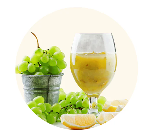 بهترین دستگاه آبلیموگیری و آبغوره گیری + خانگی و صنعتی