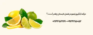 درآمد آبگیری لیمو