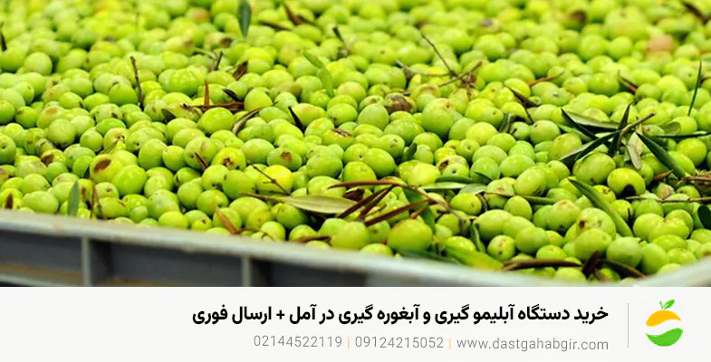 خرید دستگاه آبلیمو گیری و آبغوره گیری در آمل+ارسال فوری خرید دستگاه آبلیمو گیری و آبغوره گیری در آمل+ارسال فوری