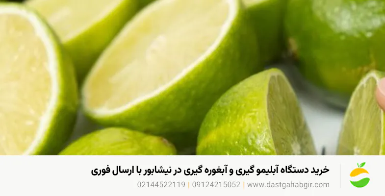 خرید دستگاه آبلیموگیری و آبغوره گیری در نیشابور با ارسال فوری خرید دستگاه آبلیموگیری و آبغوره گیری در نیشابور با ارسال فوری