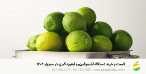 قیمت و خرید دستگاه آبلیموگیری و آبغوره گیری در سبزوار ۱۴۰۴ قیمت و خرید دستگاه آبلیموگیری و آبغوره گیری در سبزوار ۱۴۰۴