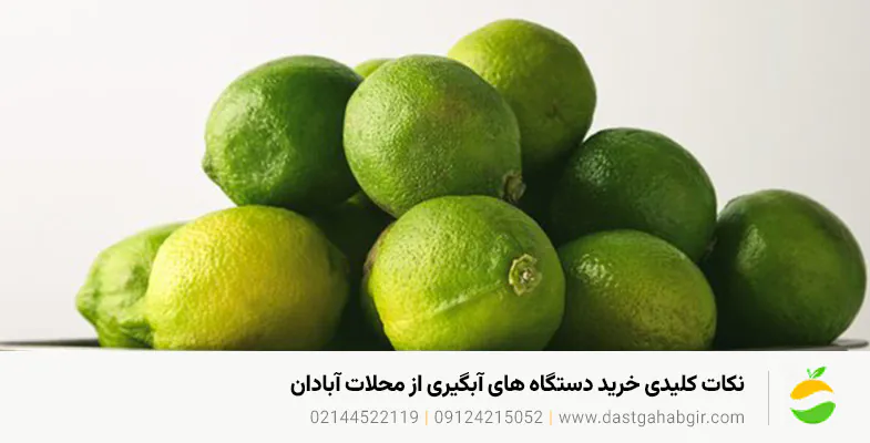 خرید دستگاه آبلیموگیری و آبغوره گیری در آبادان + گارانتی نکات کلیدی خرید دستگاه های آبگیری از محلات آبادان