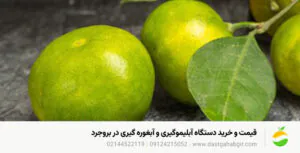 قیمت و خرید دستگاه آبلیموگیری و آبغوره گیری در بروجرد قیمت و خرید دستگاه آبلیموگیری و آبغوره گیری در بروجرد