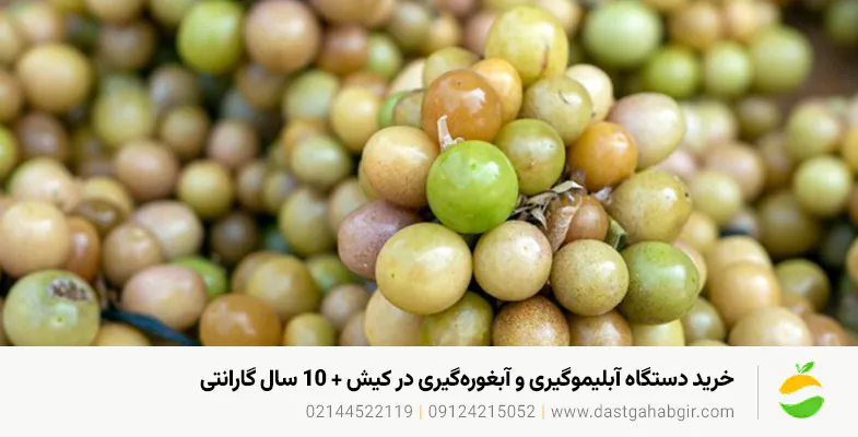 خرید دستگاه آبلیموگیری و آبغورهگیری در کیش + 10 سال گارانتی خرید دستگاه آبلیموگیری و آبغورهگیری در کیش + 10 سال گارانتی