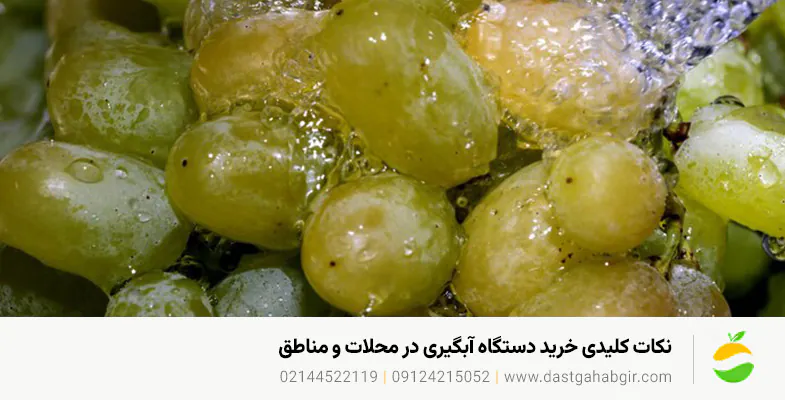 خرید دستگاه آبلیموگیری و آبغوره گیری در دزفول | 1405 نکات کلیدی خرید دستگاه آبگیری در محلات و مناطق مهم دزفول