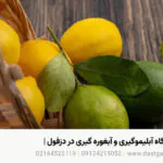 خرید دستگاه آبلیموگیری و آبغوره گیری در دزفول | 1405 خرید دستگاه آبلیموگیری و آبغوره گیری در دزفول | 1405