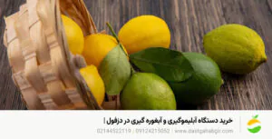 خرید دستگاه آبلیموگیری و آبغوره گیری در دزفول | 1405 خرید دستگاه آبلیموگیری و آبغوره گیری در دزفول | 1405
